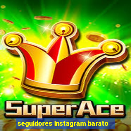 seguidores instagram barato