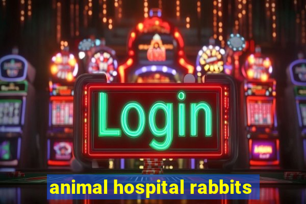 animal hospital rabbits