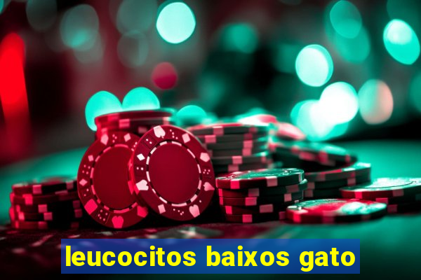 leucocitos baixos gato