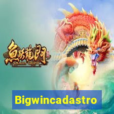 Bigwincadastro