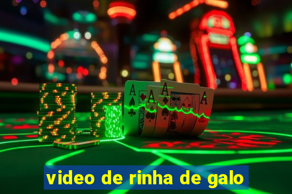 video de rinha de galo