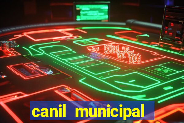 canil municipal porto alegre