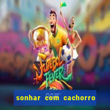 sonhar com cachorro numeros da mega sena