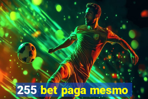 255 bet paga mesmo