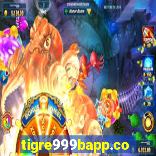 tigre999bapp.com