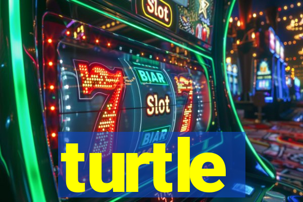 turtle-ty.com